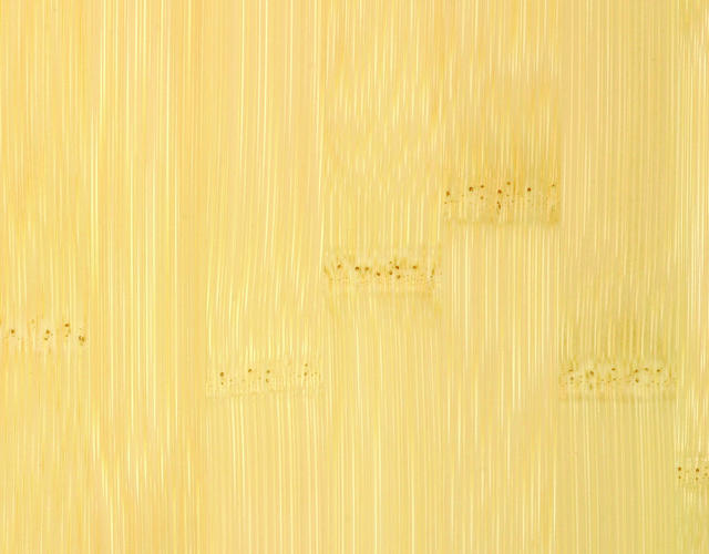 Moso PUREBAMBOO Bambus Art. BF-LA810 Breitlamelle Naturhell 15 mm