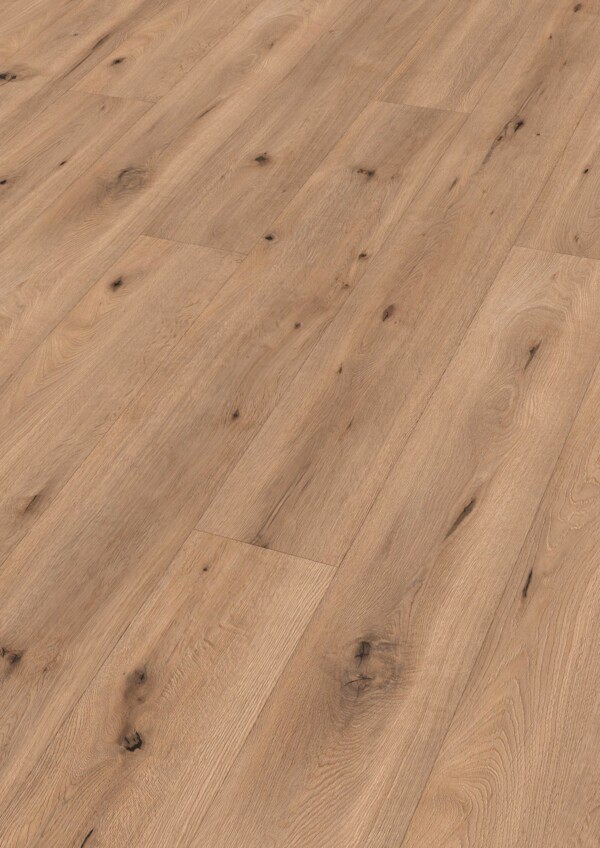 Meister Laminat LL 150 Art. 600007-2052220-06843 Feldeiche hell 8 mm