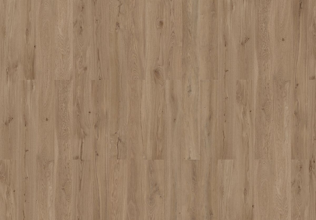 Wicanders Wood Hydro Natural Art. 80003769 Dakota Oak 5,5 mm