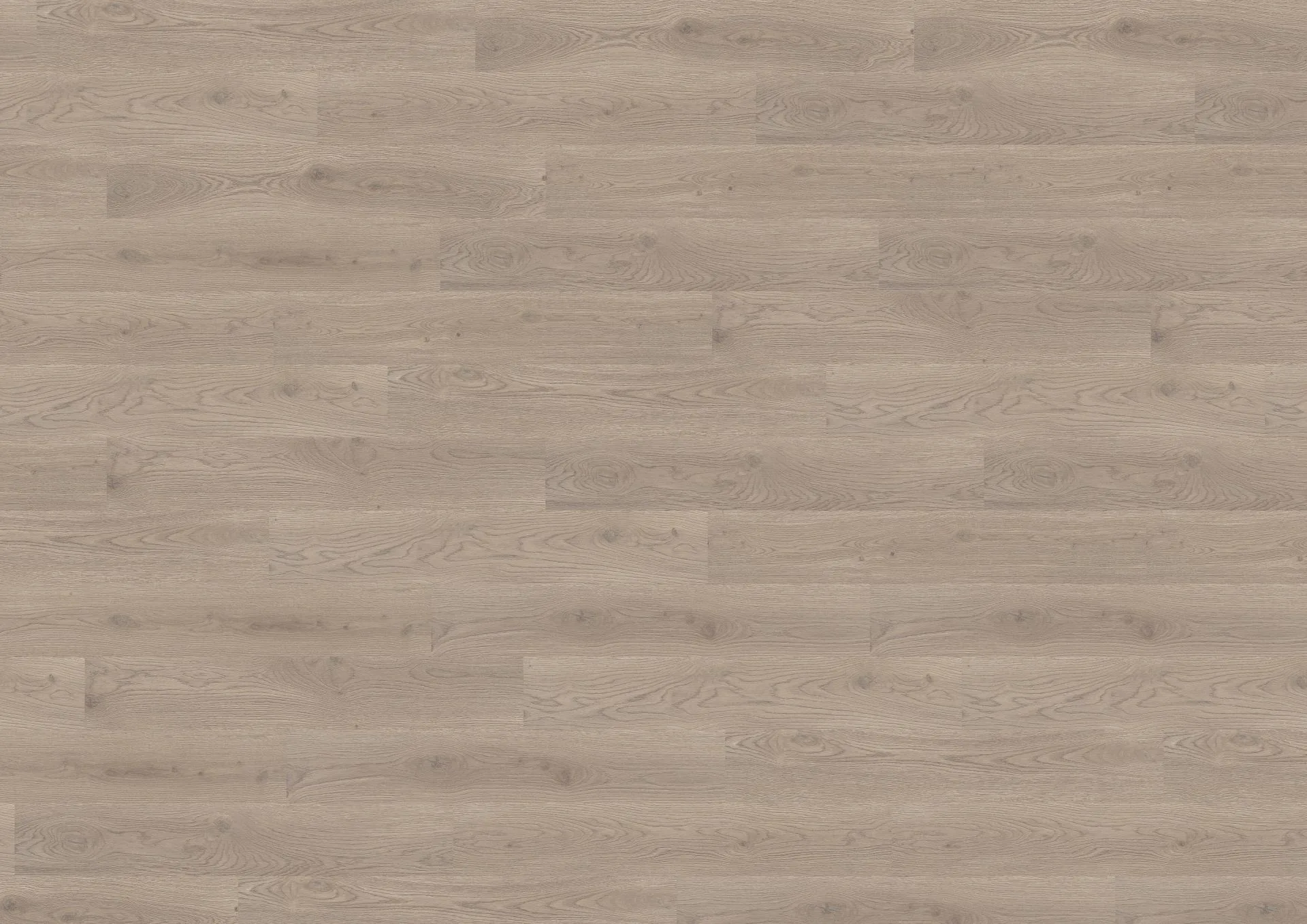 Wineo Pureline Bioboden 1500 wood L Art. PL15003WL Durban Oak Taupe 2,5 mm