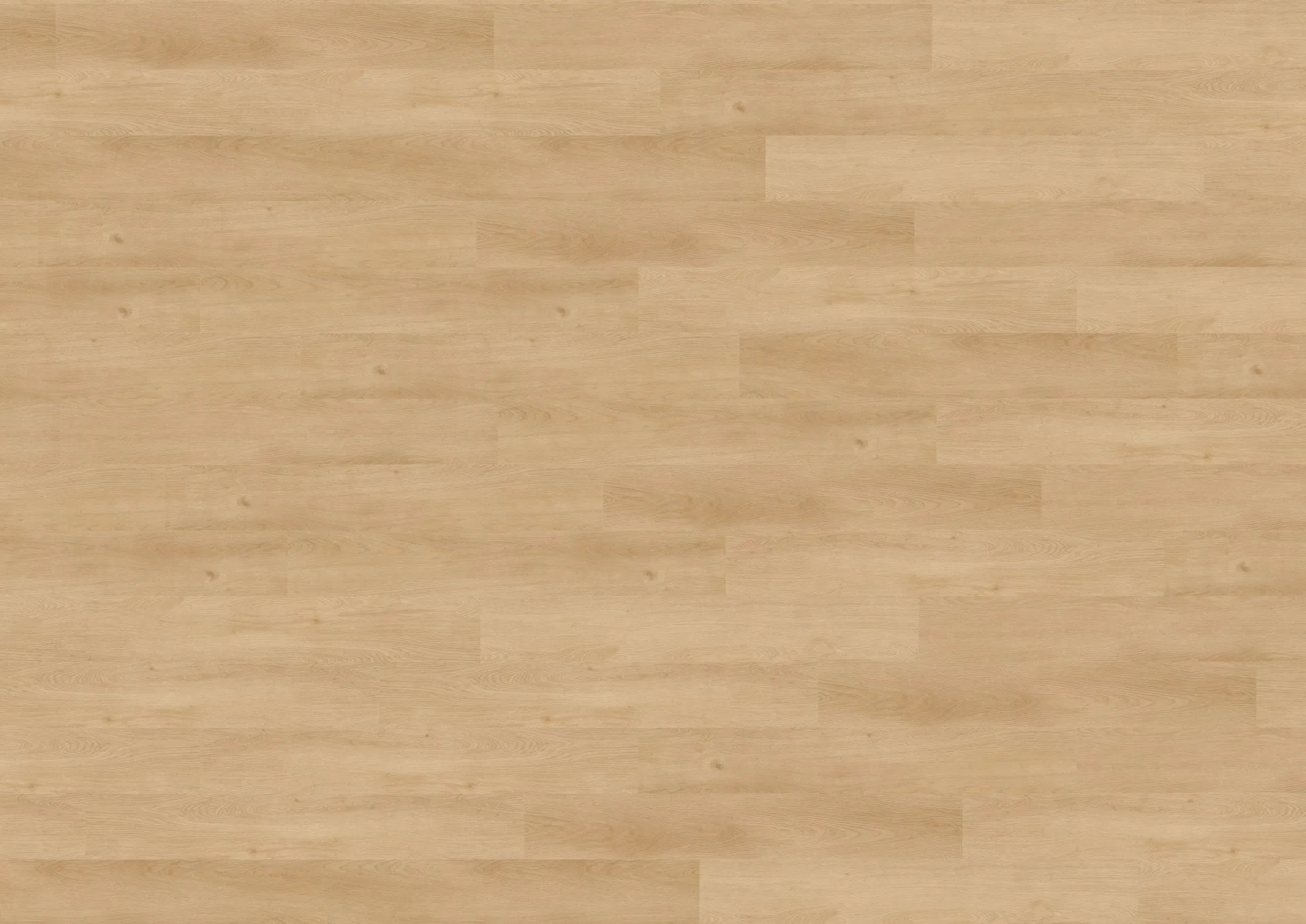 Wineo 800 pure wood L Designvinyl Art. DB818WL Merano Oak Nature 2,5 mm