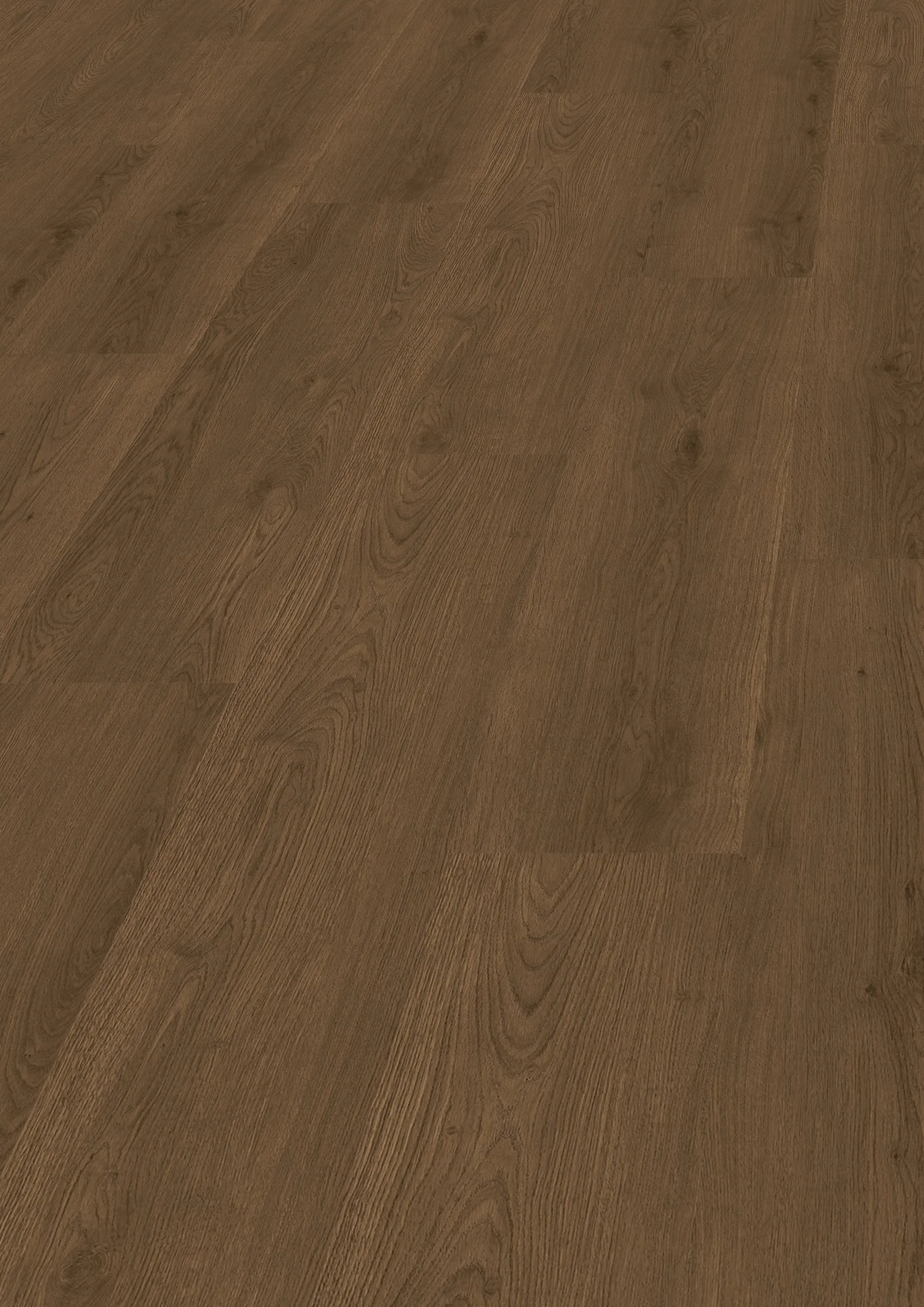 KWG antigua professional Designvinyl Art. 586009 Waldeiche 10,0 mm
