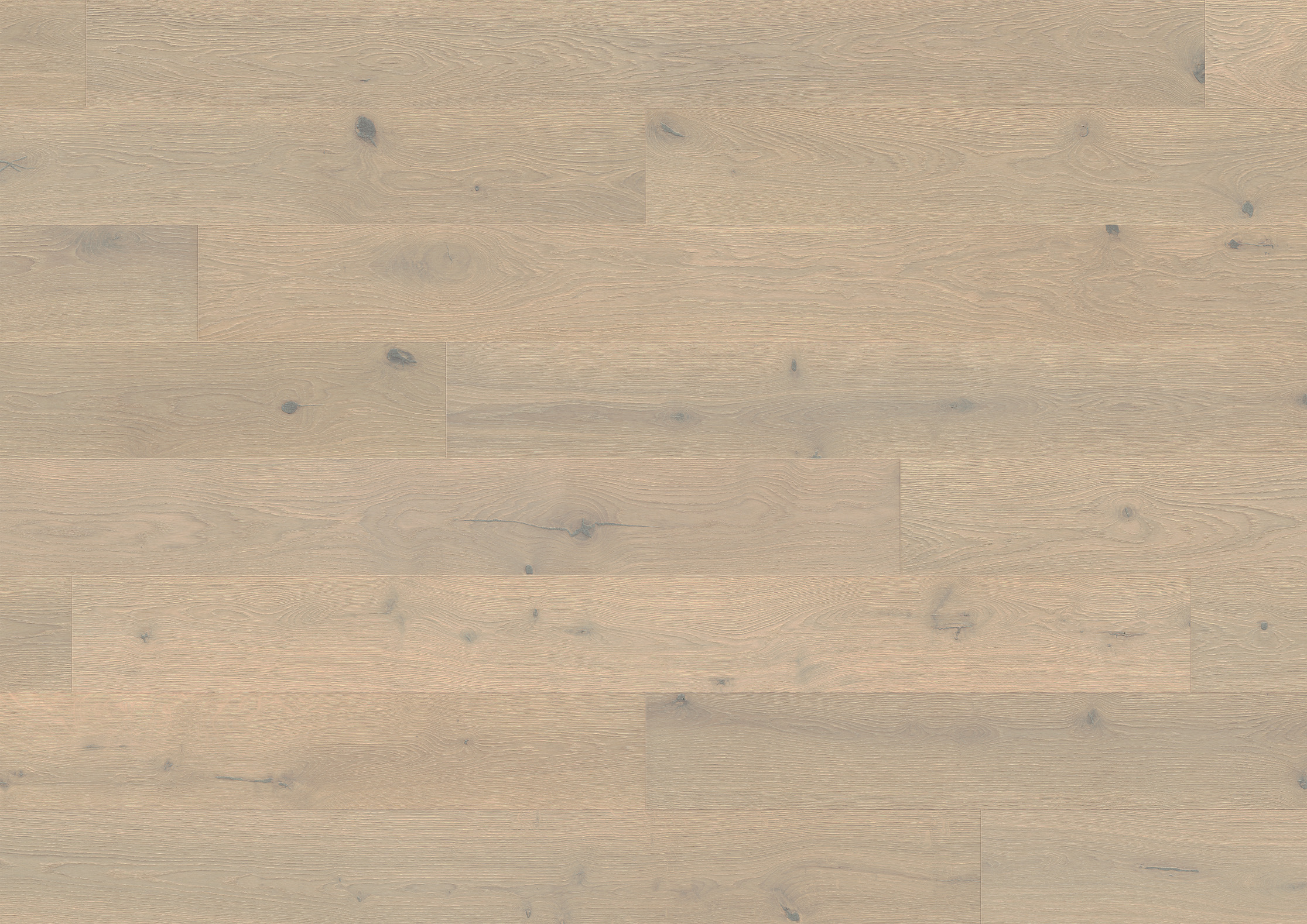 Ter Hürne Parkett Noblesse Collection Art. 1101312666 Eiche Vomero Schlossdiele 14 mm