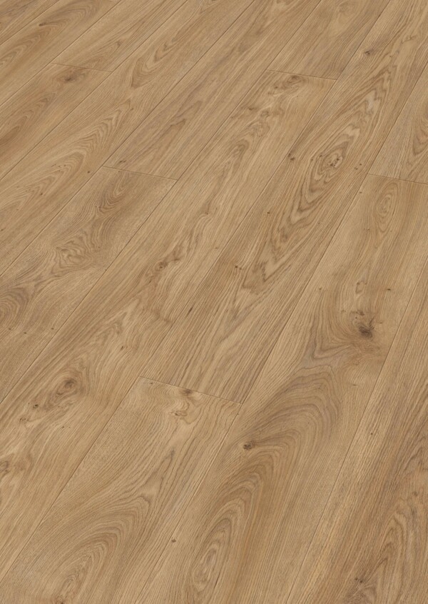 Meister Laminat LL 150 Art. 600007-2052220-07116 Ufereiche gedämpft 8 mm