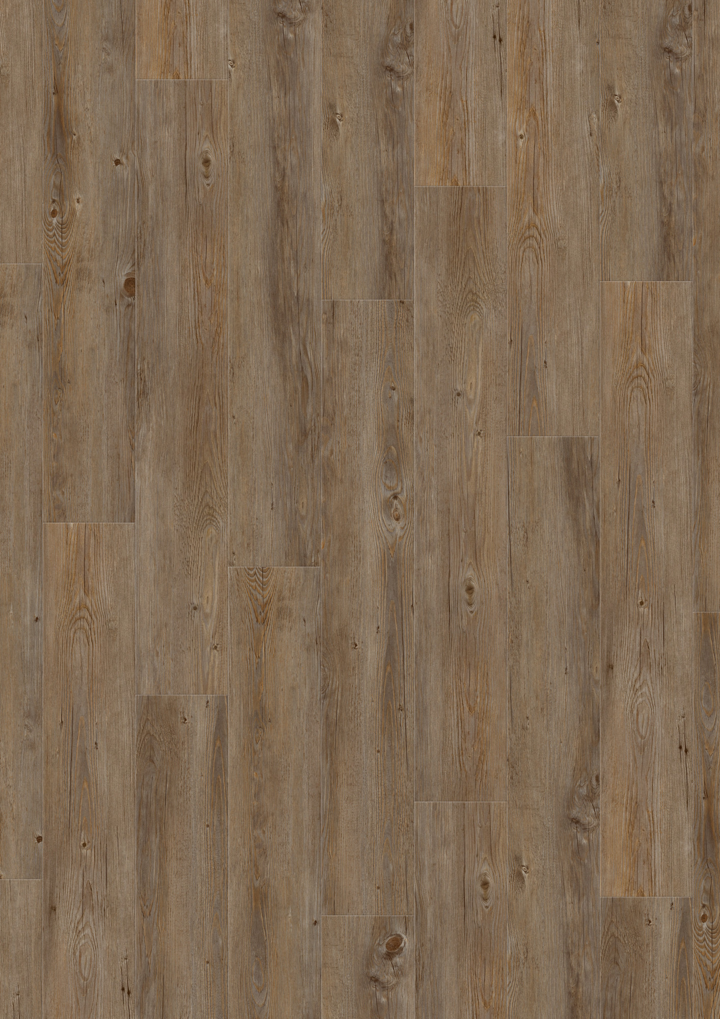 Gerflor Creation 55 Designvinyl Art. 35810457 Buffalo 2,5 mm  