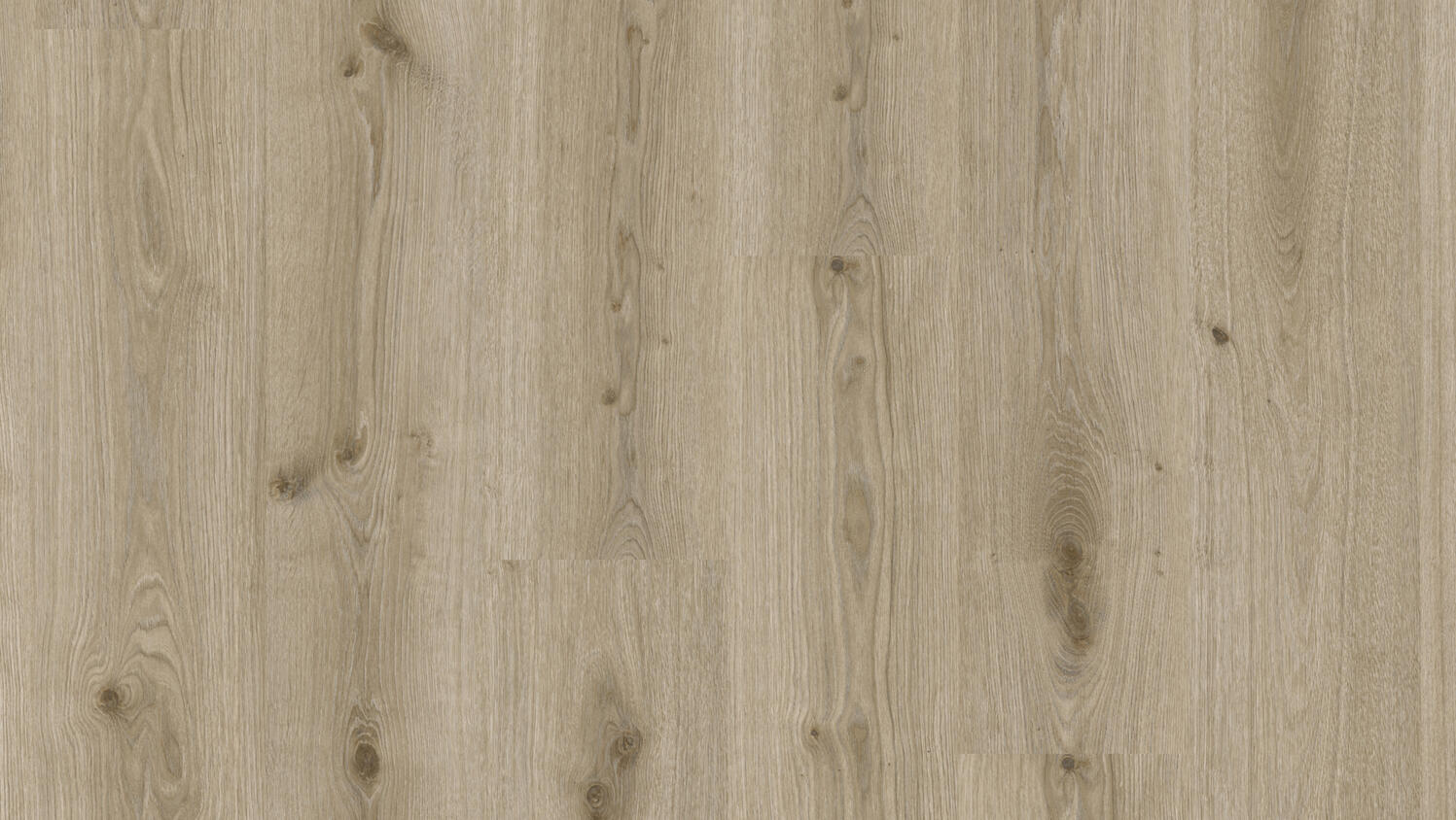 Tarkett Essence 30 Glue Down Designvinyl Art. 260055006 Primary Oak Light Grey 2 mm